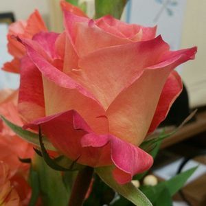 Meet your Posher, Sherry